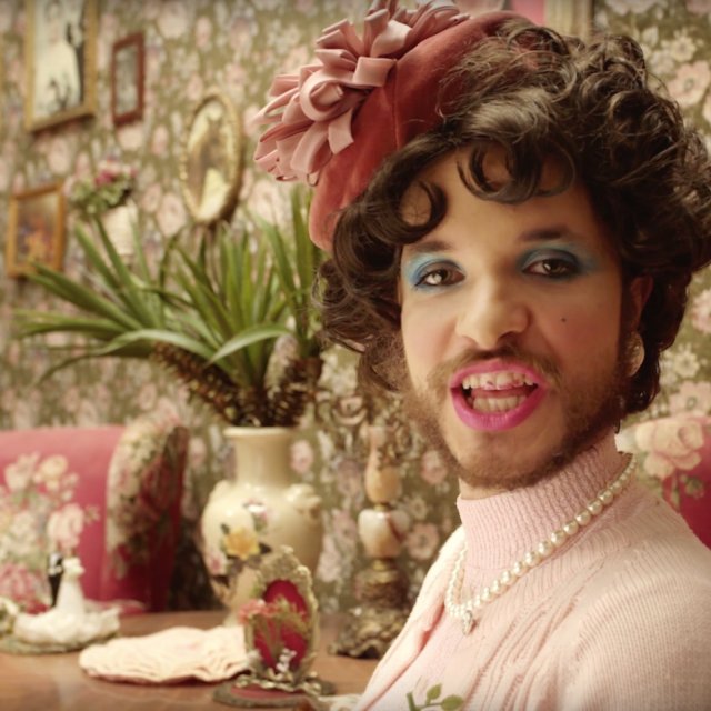 domowe melodie brzydala