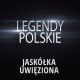 Okładka piosenki „Jaskółka uwięziona”