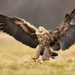 Okładka piosenki karaoke „Granica”