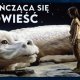 Okładka piosenki „The never ending story”